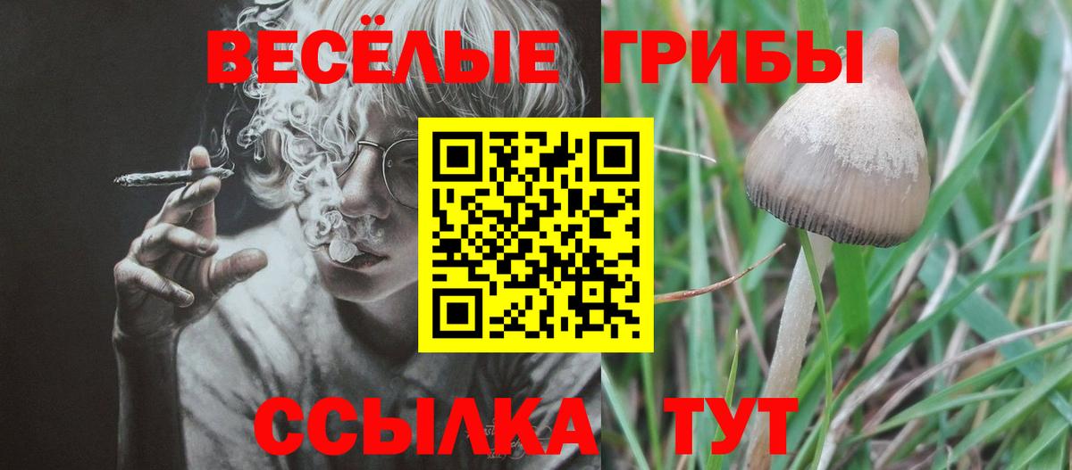 Псилоцибиновые грибы ЛСД  Вход с VPN  Нурлат 